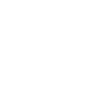 besta neuro sim logo white