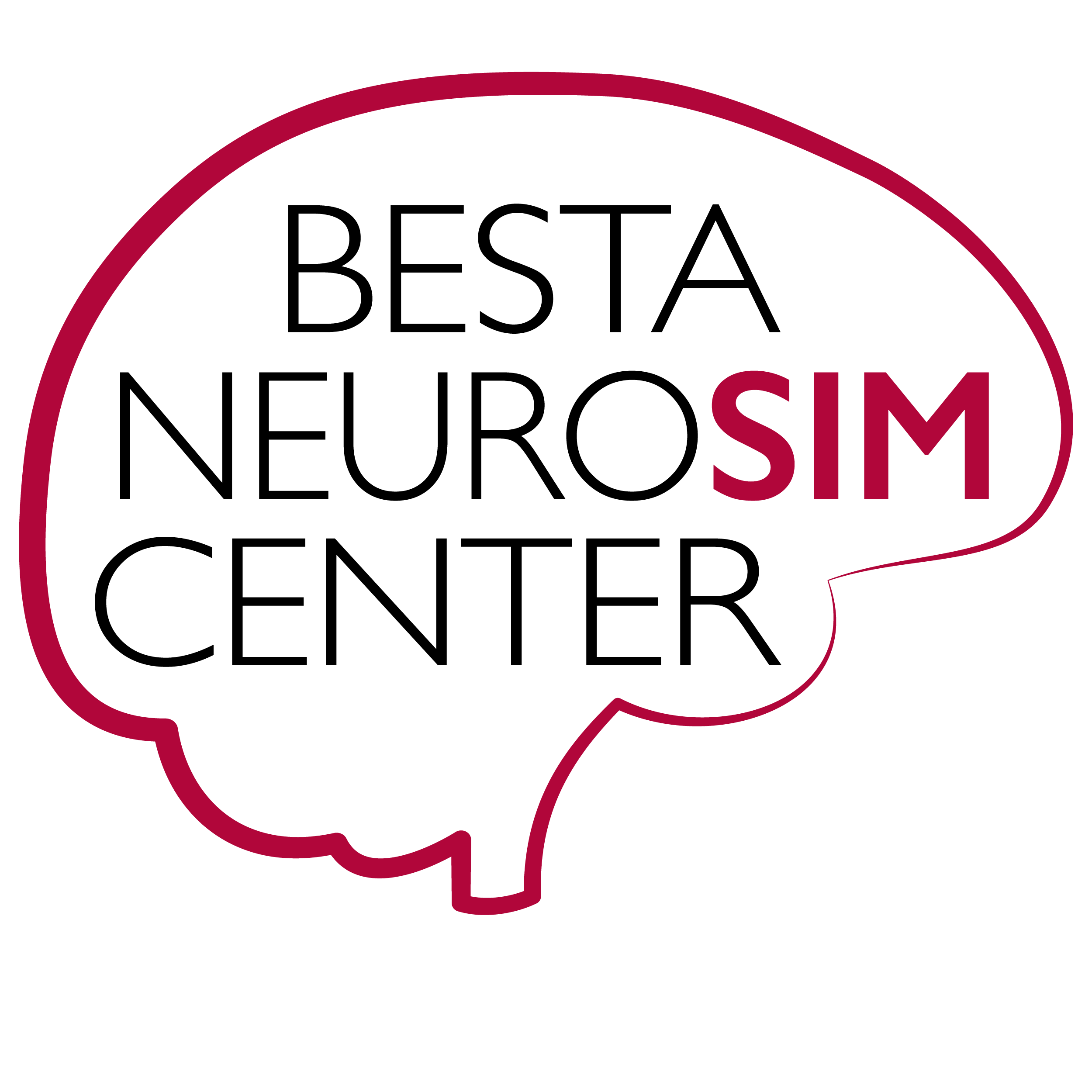 besta neurosim center milano